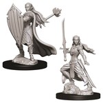 WizKids D&D: Nolzur's Marvelous Miniatures: Elf Paladin