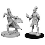 WizKids Pathfinder: Deep Cuts: Female Elf Sorcerer