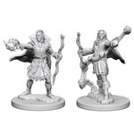 WizKids Pathfinder: Deep Cuts: Male Elf Sorcerer
