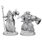 WizKids D&D: Nolzur's Marvelous Miniatures: Human Wizard