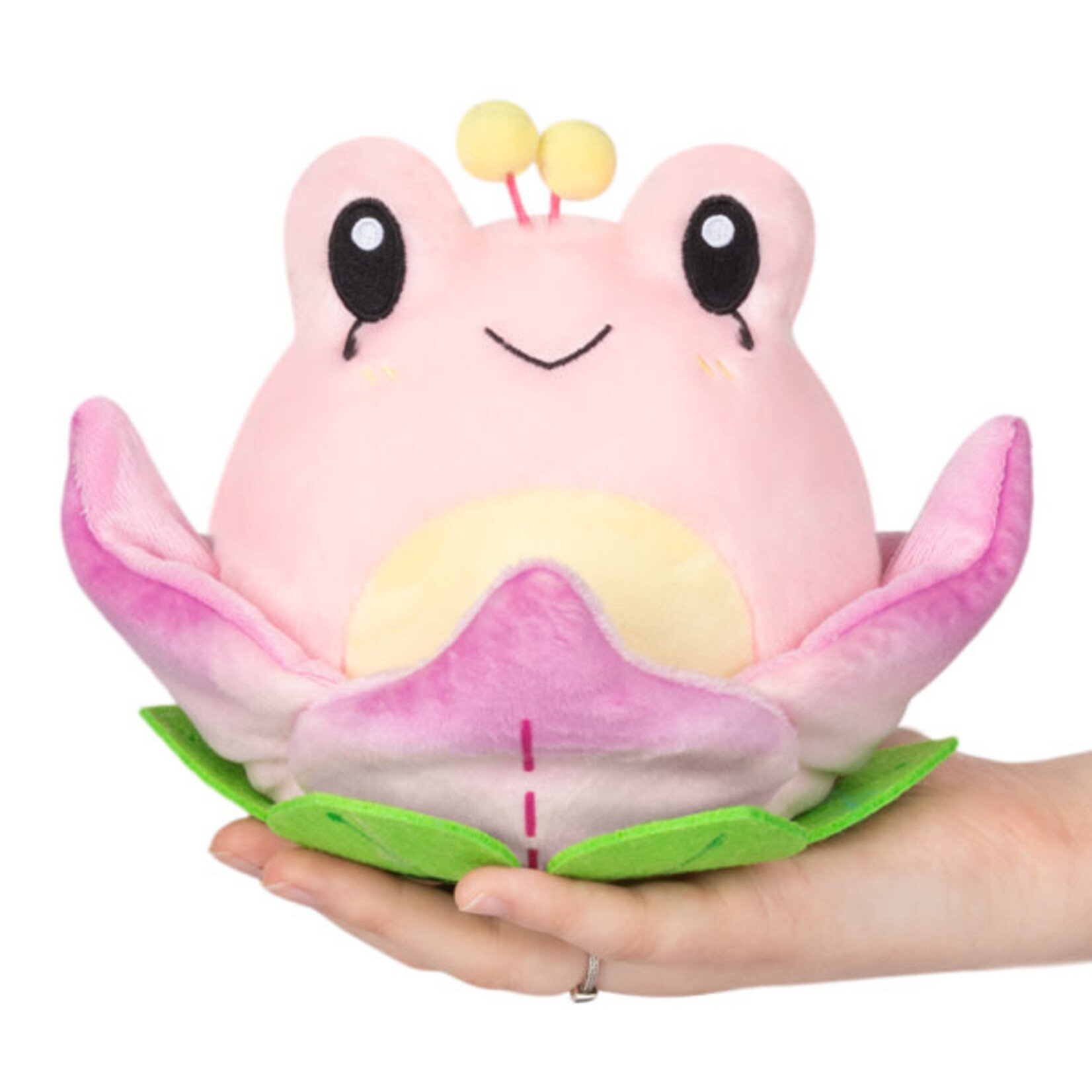 Squishable Alter Egos: Frog