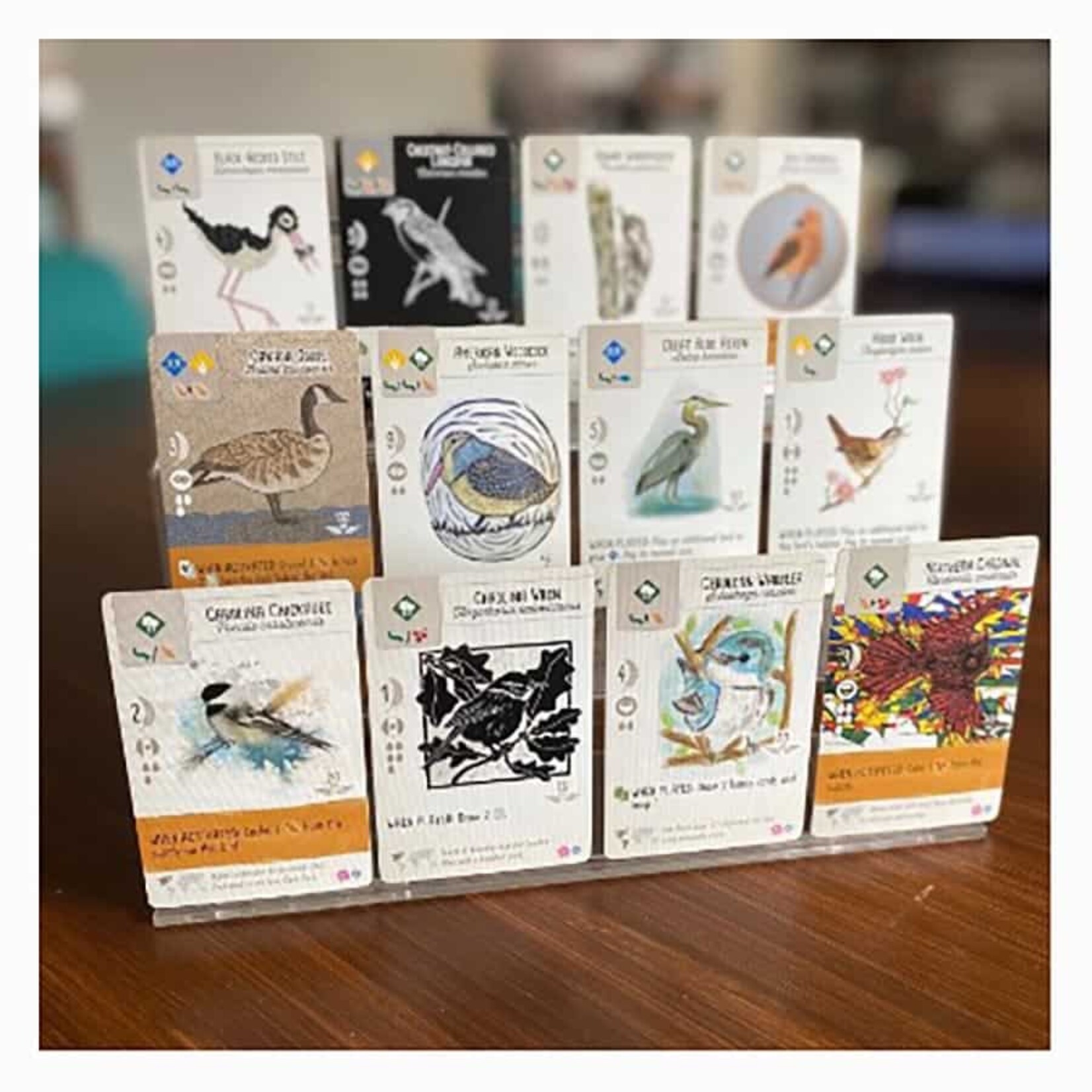 Stonemaier Games Wingspan: Fan Art Pack