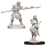 WizKids D&D: Nolzur's Marvelous Miniatures: Yuan-Ti Pureblood Adventurers