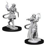 WizKids D&D: Nolzur's Marvelous Miniatures: Tiefling Sorcerer