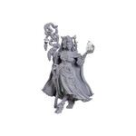 WizKids Critical Role: Fearne Calloway & Mister