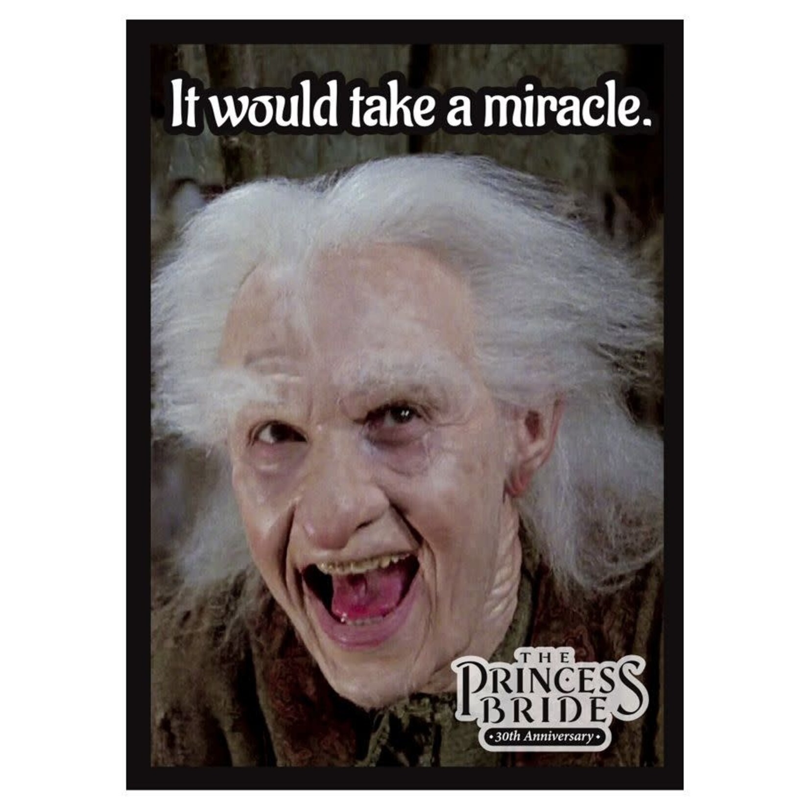 Legion Supplies 50 Standard Sleeves Double Matte Finish: The Princess Bride