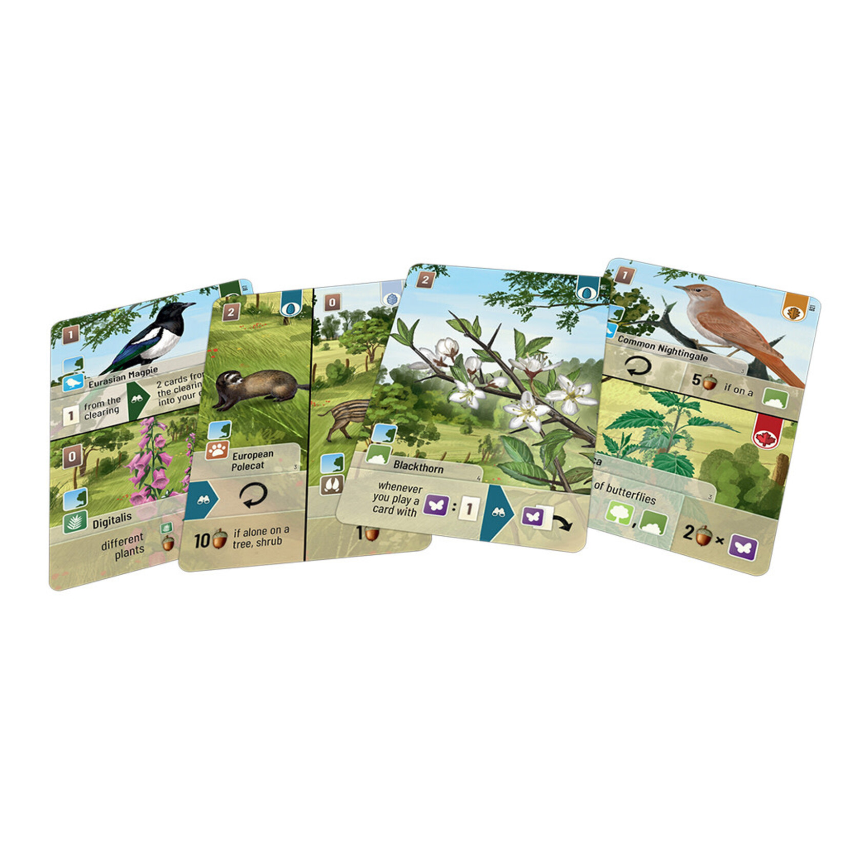Lookout Games Forest Shuffle: Woodland Edge Expansion