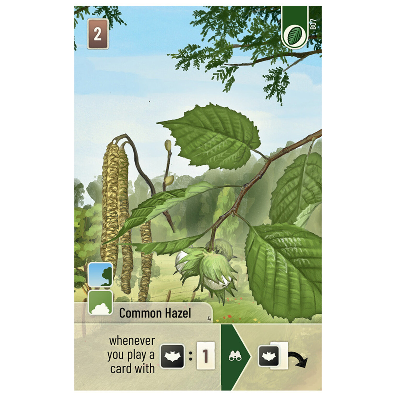 Lookout Games Forest Shuffle: Woodland Edge Expansion