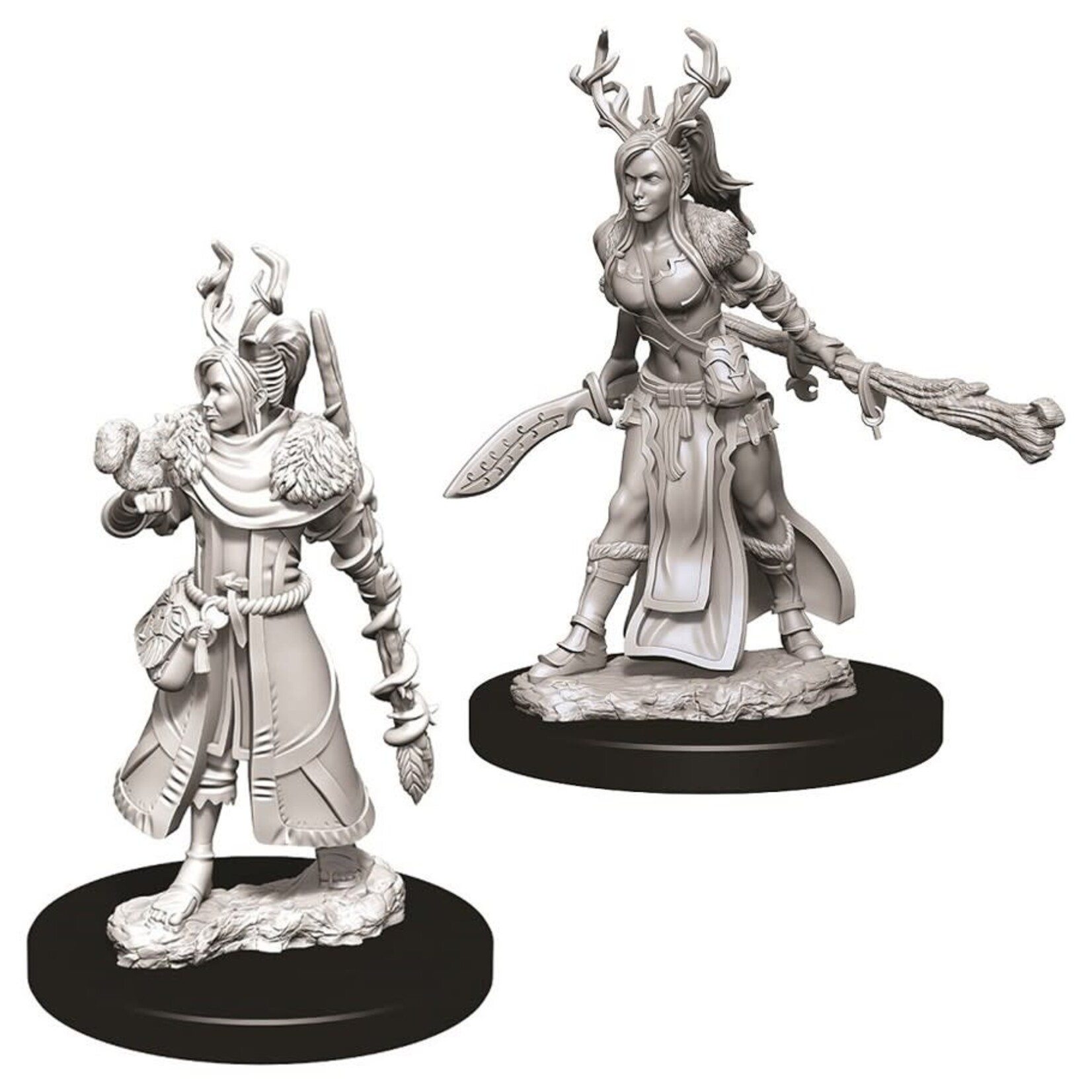 WizKids D&D: Nolzur's Marvelous Miniatures: Human Druid