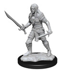 WizKids Pathfinder: Deep Cuts: Male Elf Fighter