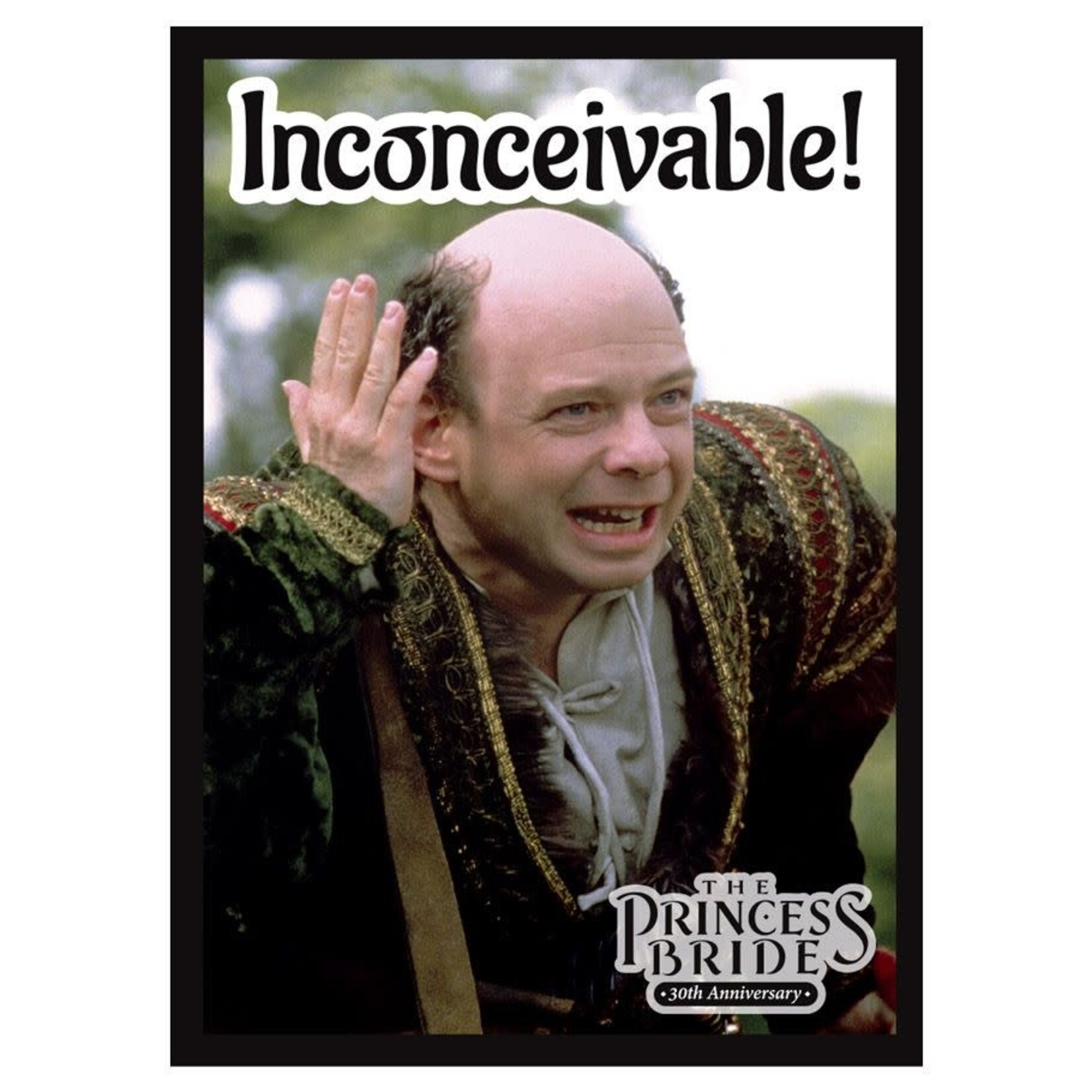 Legion Supplies 50 Standard Sleeves Double Matte Finish: The Princess Bride