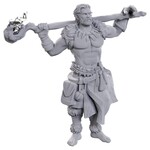 WizKids D&D: Nolzur's Marvelous Miniatures: Archdruid & Martial Arts Adept