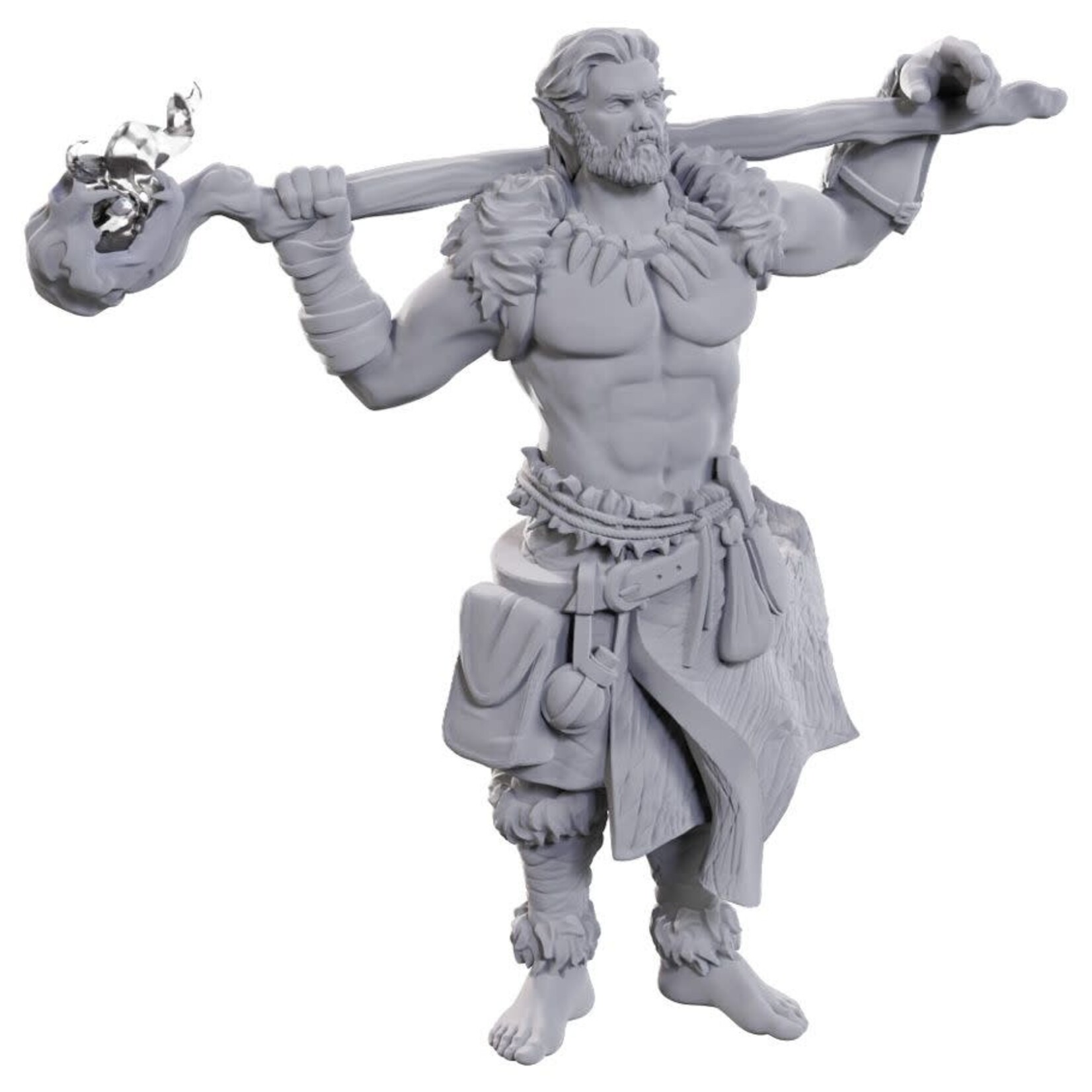 WizKids D&D: Nolzur's Marvelous Miniatures: Archdruid & Martial Arts Adept