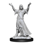 WizKids Deep Cuts: Plague Doctor & Cultist