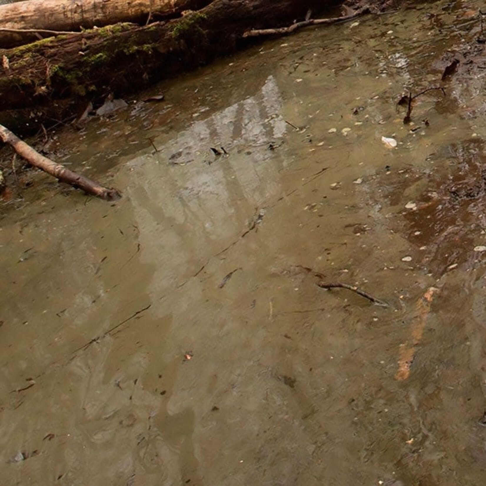 AK Interactive Diorama Series: Water Gel Acrylic 250ml: Swamp Green