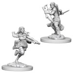 WizKids D&D: Nolzur's Marvelous Miniatures: Air Genasi Rogue