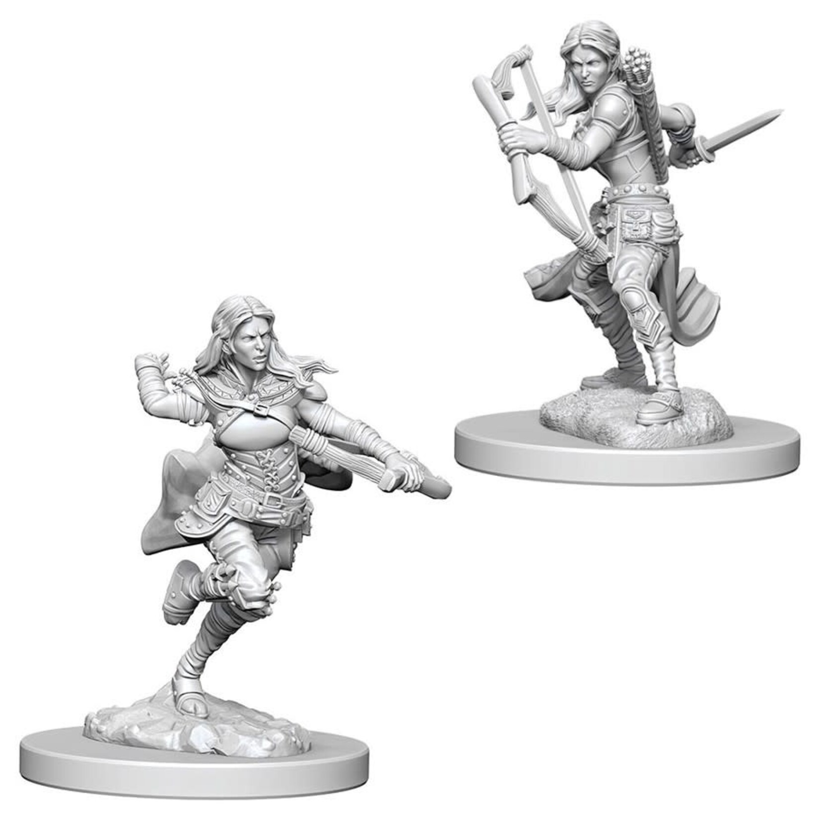 WizKids D&D: Nolzur's Marvelous Miniatures: Air Genasi Rogue