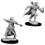 WizKids Pathfinder: Deep Cuts: Male Half-Elf Ranger