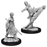 WizKids D&D: Nolzur's Marvelous Miniatures: Half-Elf Monk