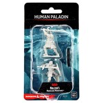 WizKids D&D: Nolzur's Marvelous Miniatures: Human Paladin
