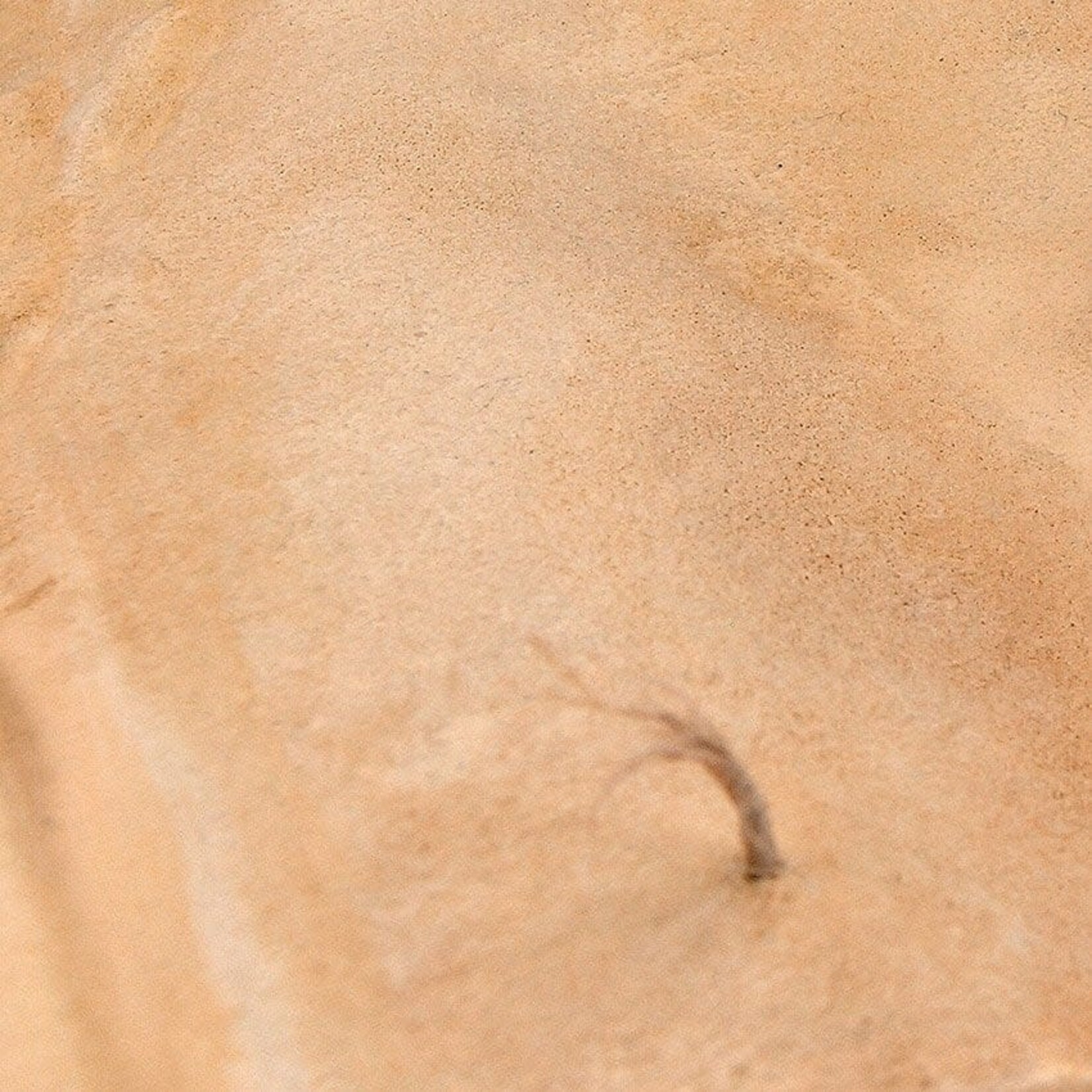 AK Interactive Diorama Series: Terrains Acrylic 250ml: Sandy Desert