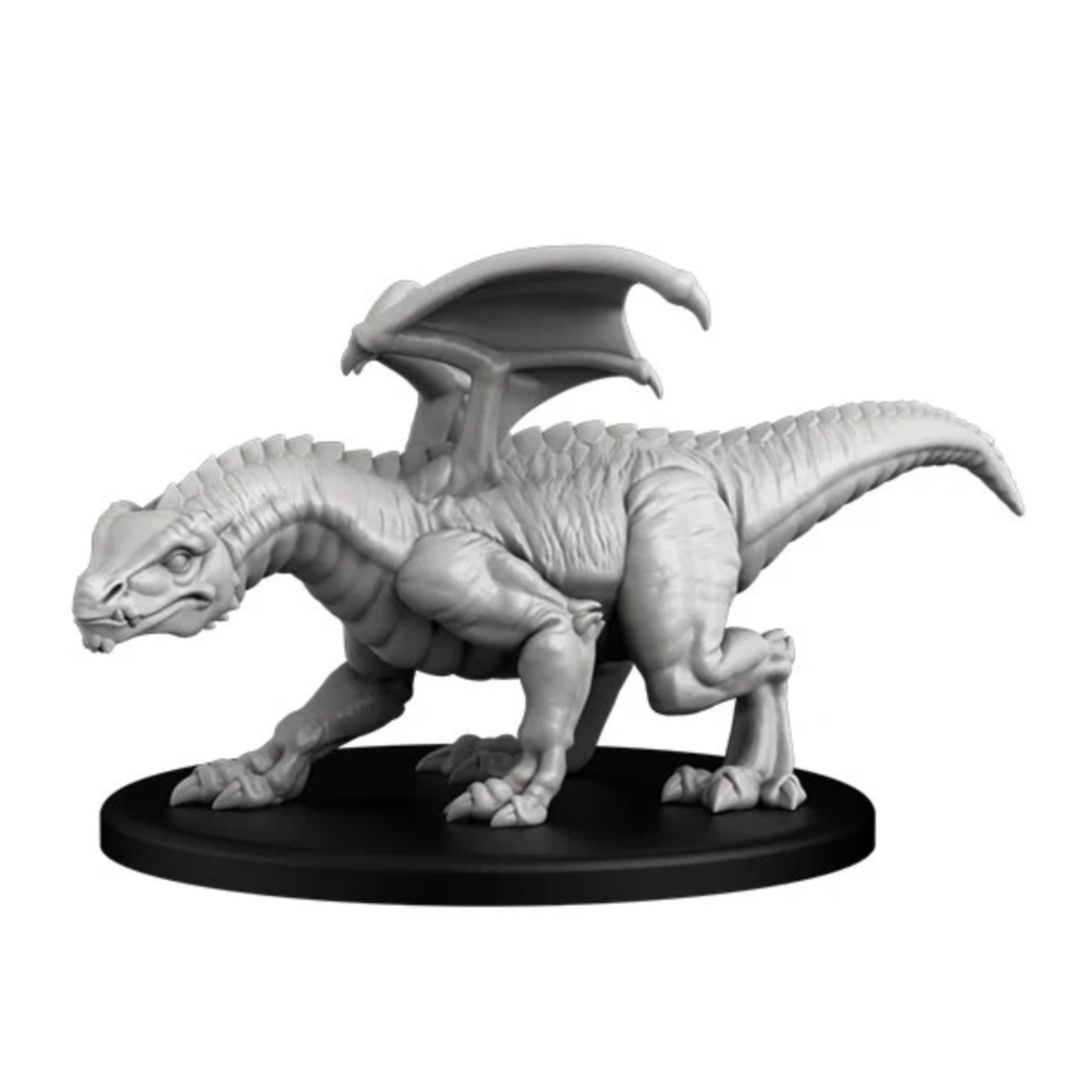 Next Level Miniatures Young Cave Dragon