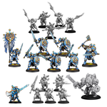 Steamforged Games Ltd Warmachine: Cygnar Storm Legion: Core Expansion Set
