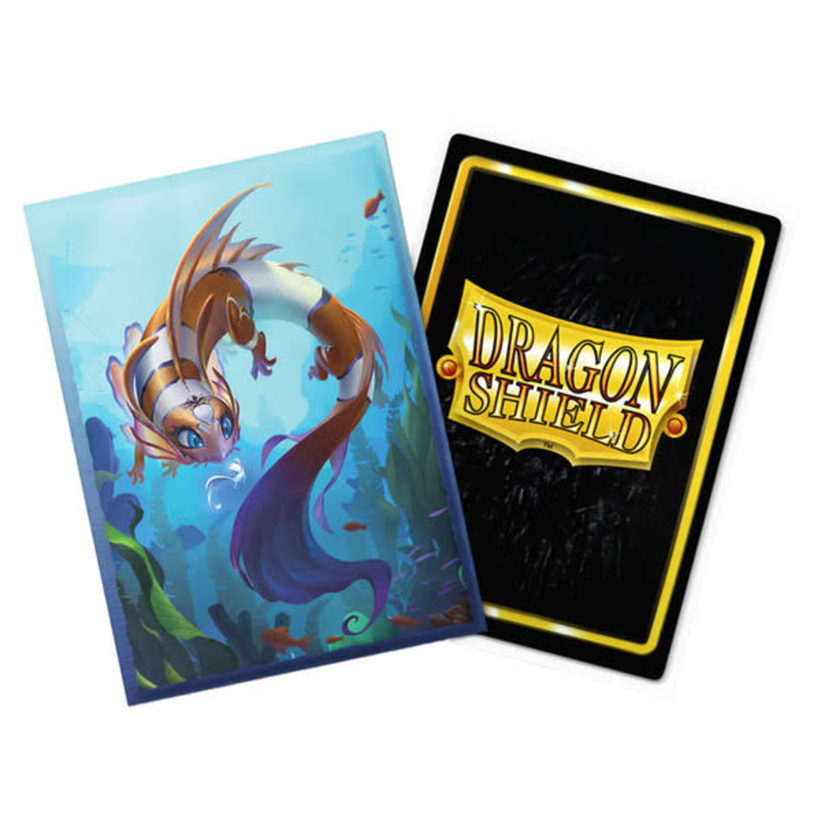 Arcane Tinmen Dragon Shield: 100 Brushed Art Sleeves: The Cinderfin