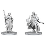 WizKids Critical Role: Beauregard Lionett & Caleb Widogast