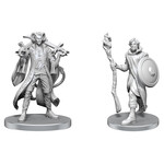 WizKids Critical Role: Mollymauk Tealeaf & Caduceus Clay