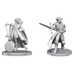 WizKids Critical Role: Jester Lavorre & Fjord Stone