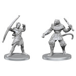 WizKids Pathfinder Battles: Elf Hunter & Catfolk Bandit