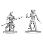 WizKids Pathfinder: Vordine (Infantry Devil) & Pitborn Rogue