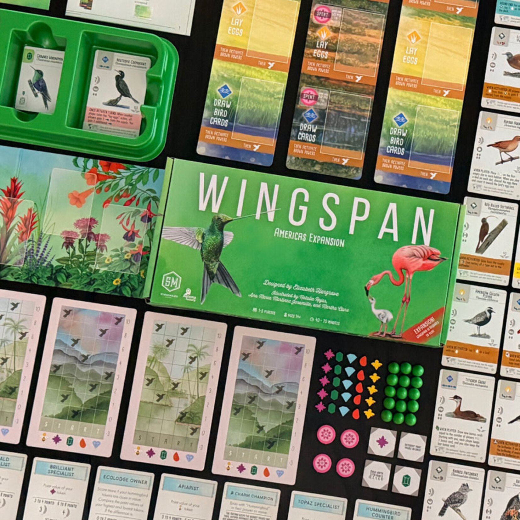 Stonemaier Games Wingspan: Americas Expansion