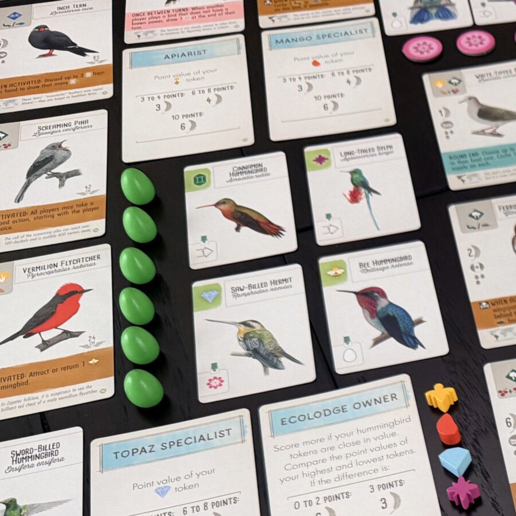 Stonemaier Games Wingspan: Americas Expansion