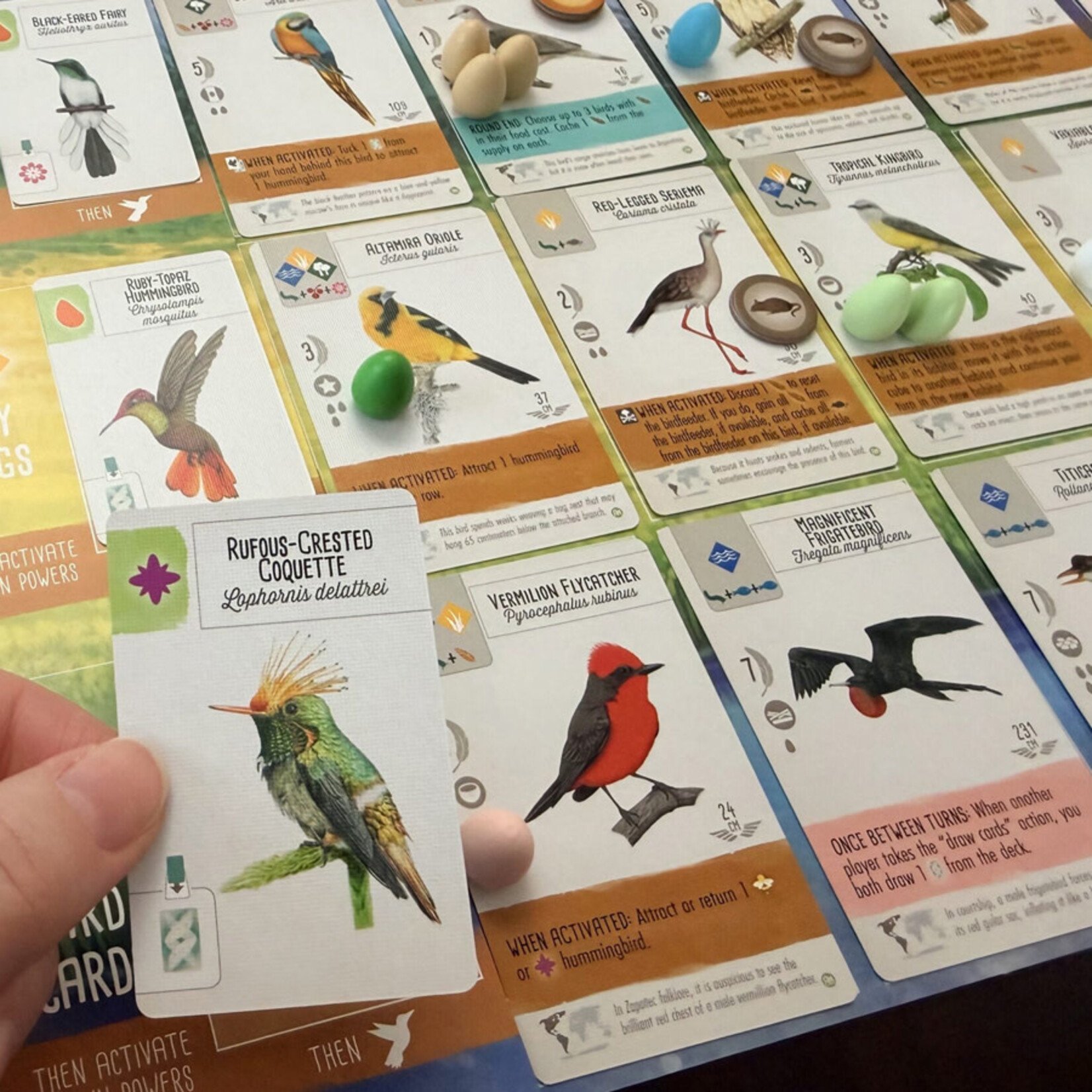 Stonemaier Games Wingspan: Americas Expansion