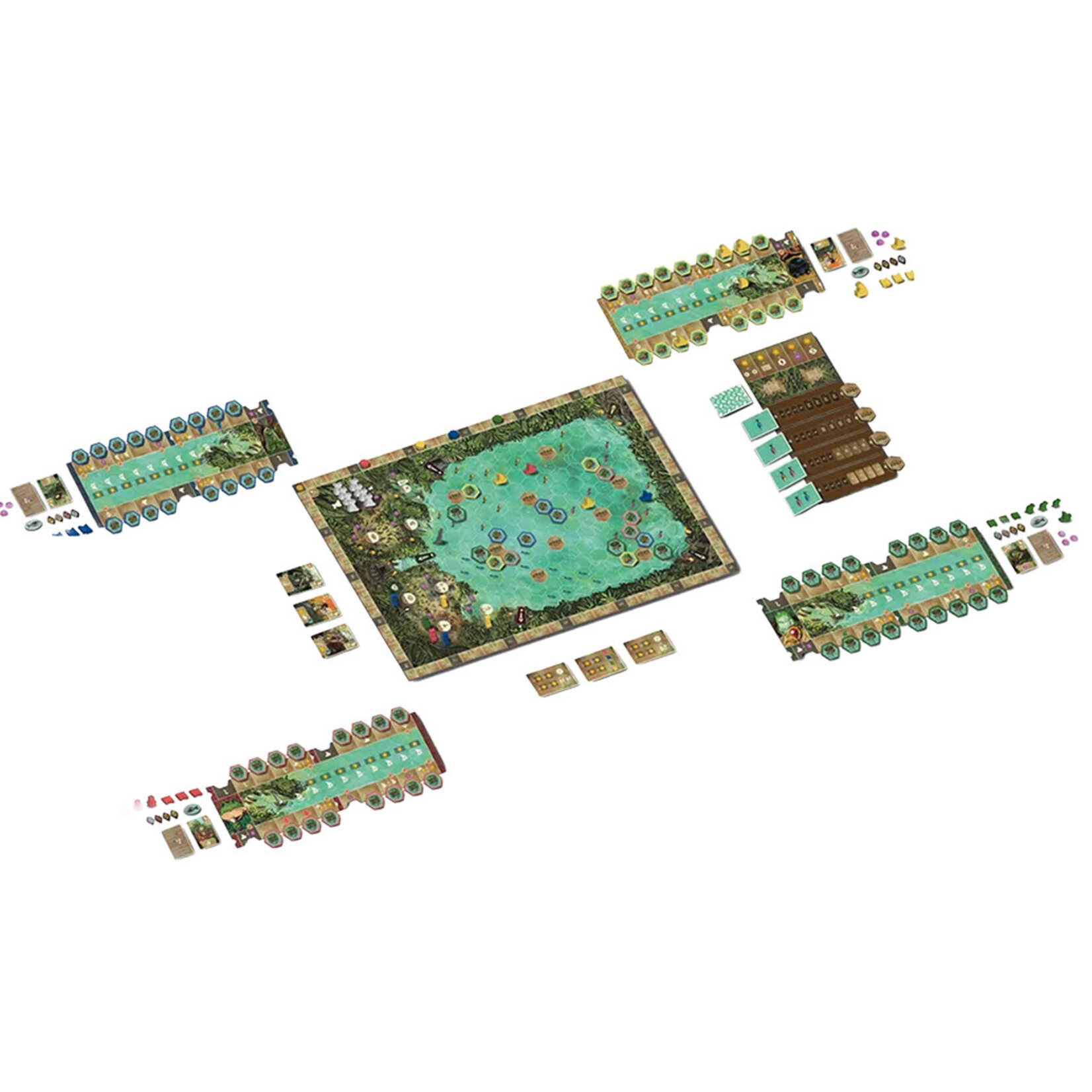 Grail Games PRERELEASE Feya's Swamp