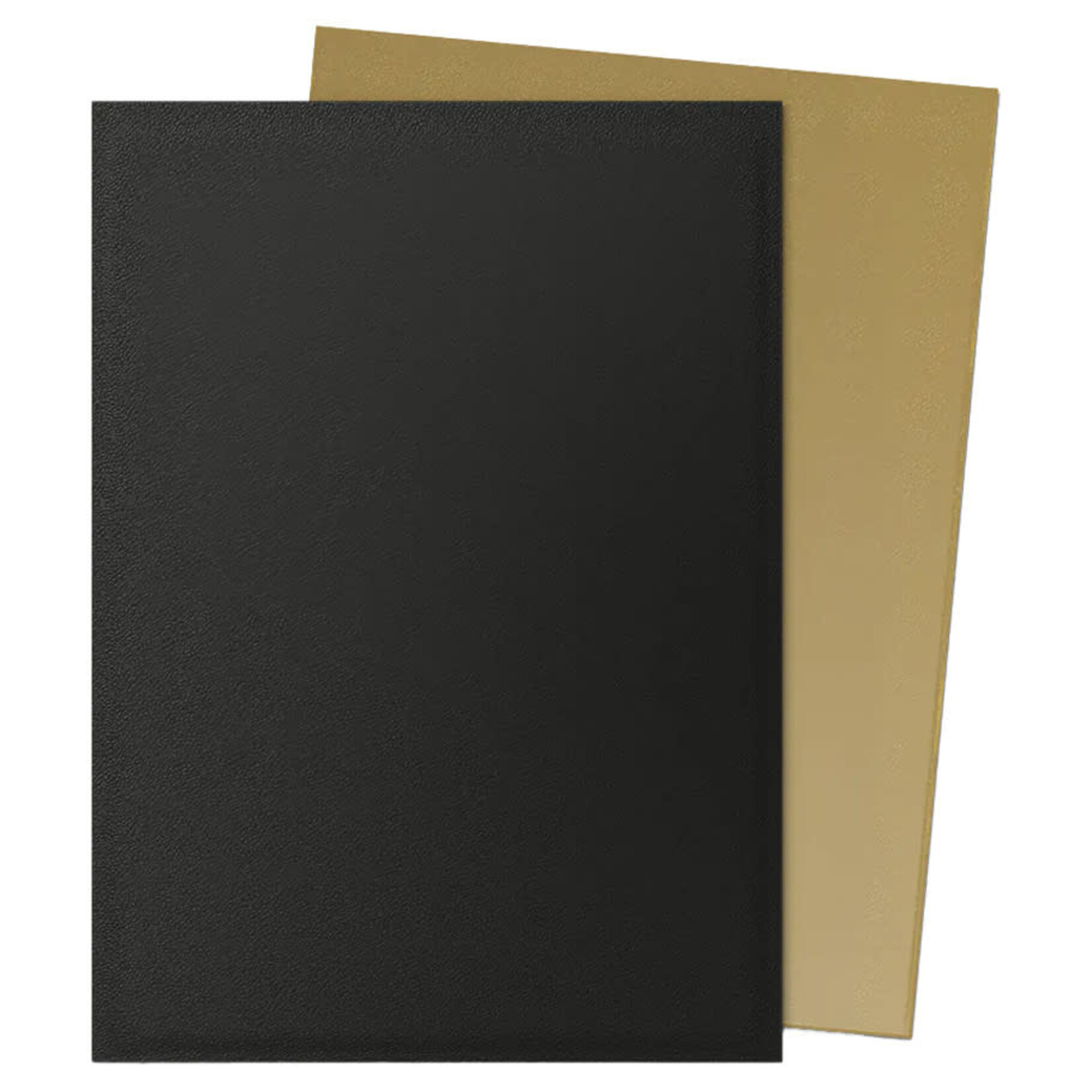 Arcane Tinmen Dragon Shield: 100 Matte Dual Sleeves: Black & Gold