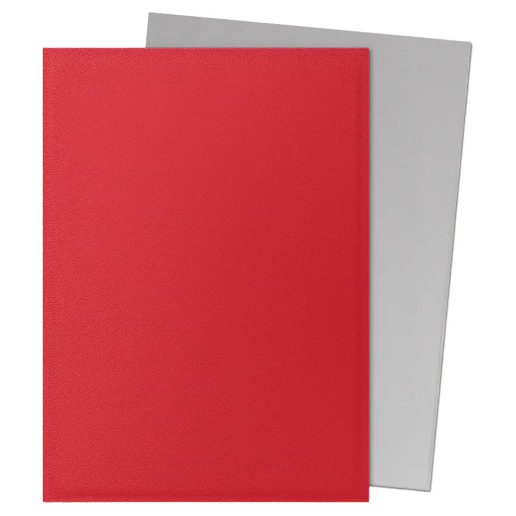 Arcane Tinmen Dragon Shield: 100 Matte Dual Sleeves: Crimson & Silver