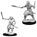 WizKids D&D: Nolzur's Marvelous Miniatures: Bandits
