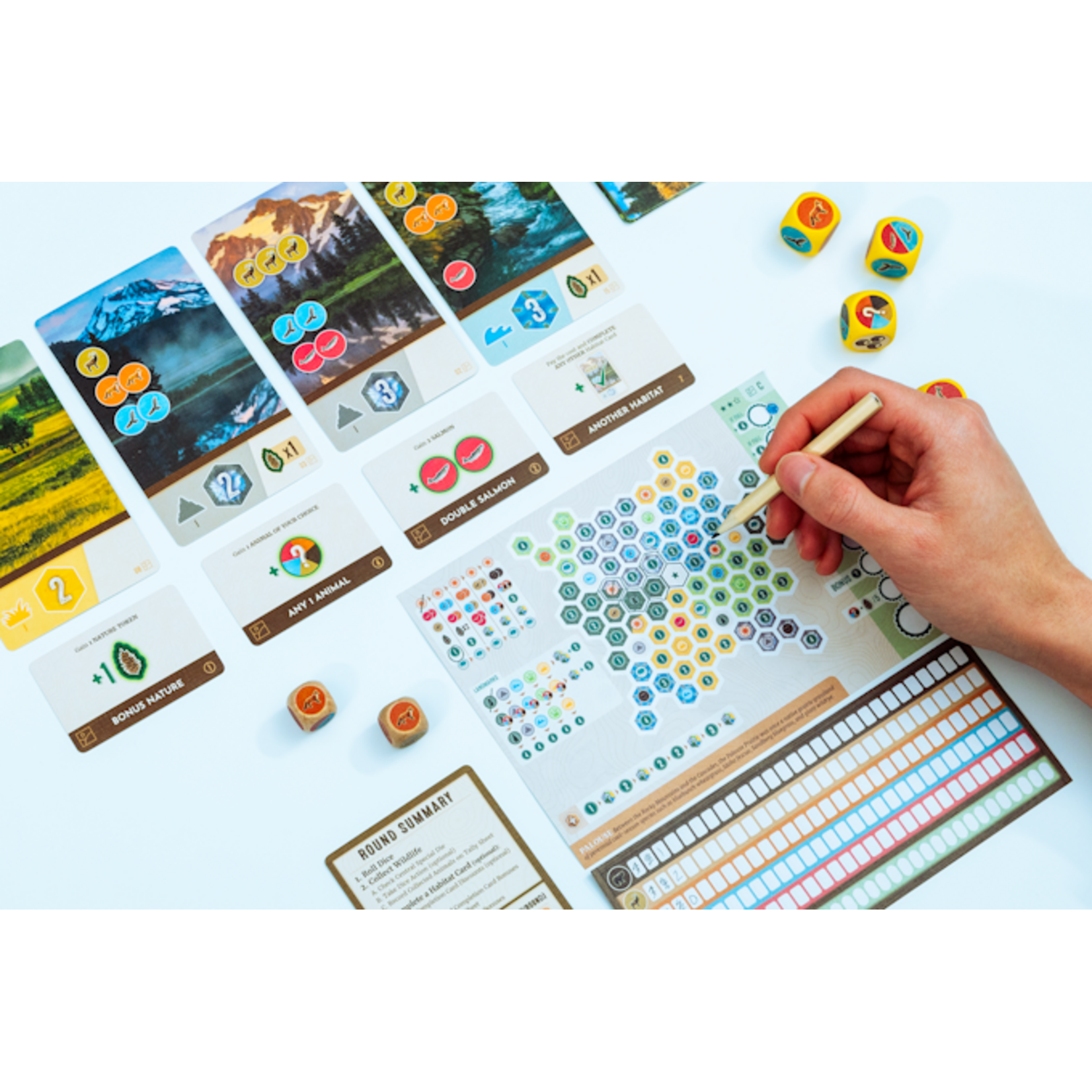 Alderac Entertainment Group Cascadia: Rolling Rivers