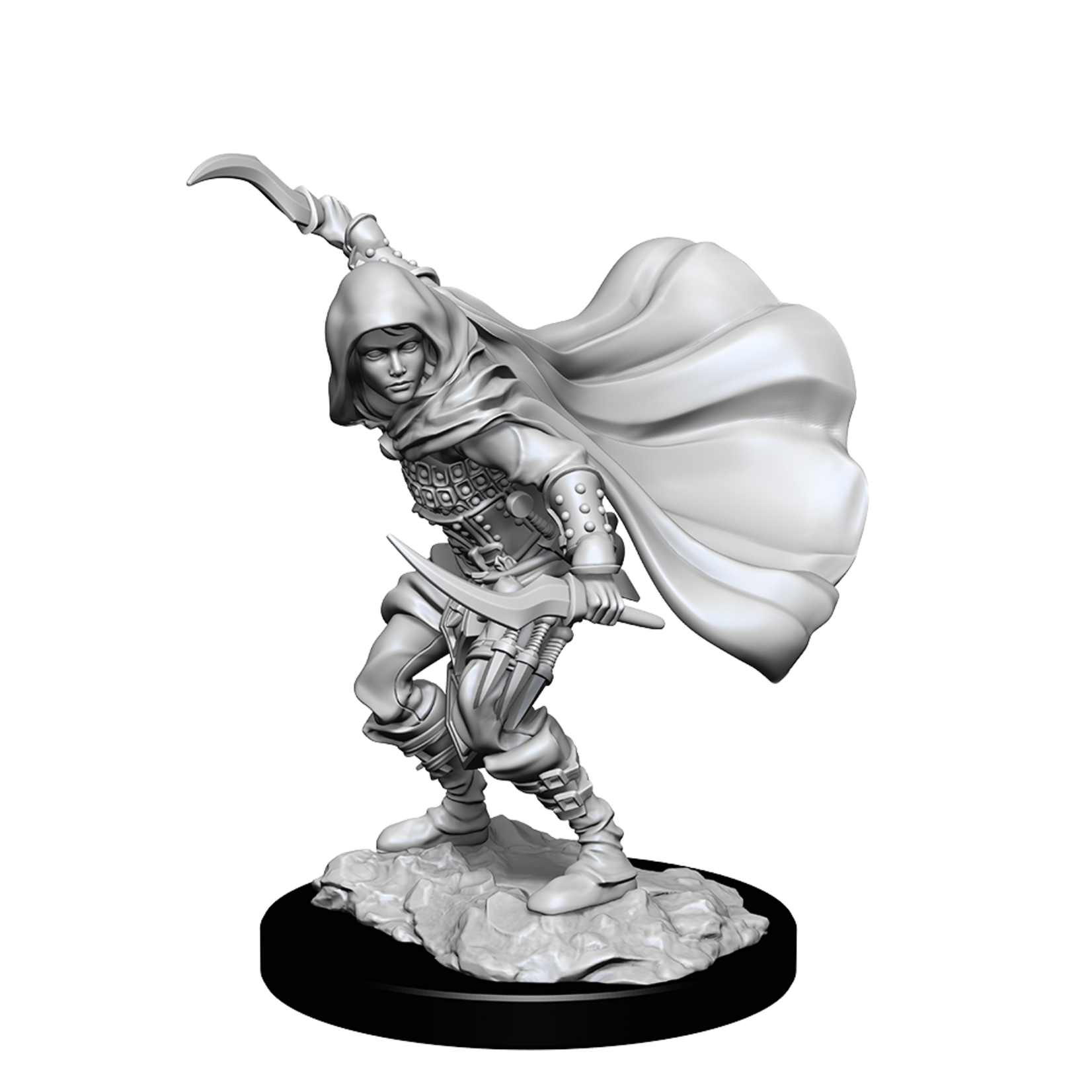 WizKids Pathfinder: Deep Cuts: Female Human Rogue