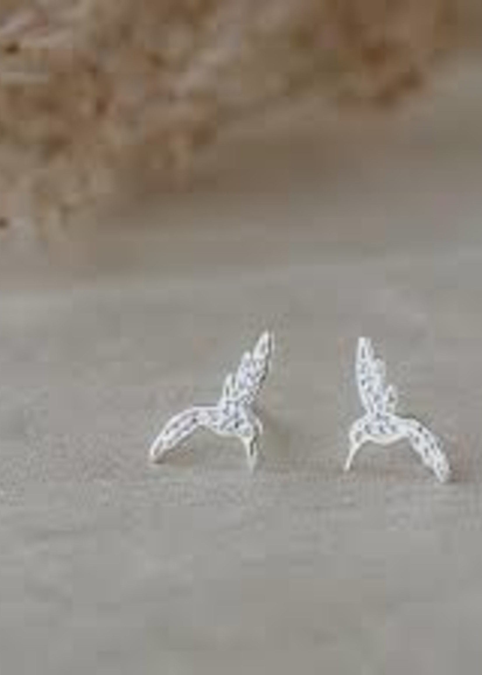 Glee Hummingbird Studs Silver