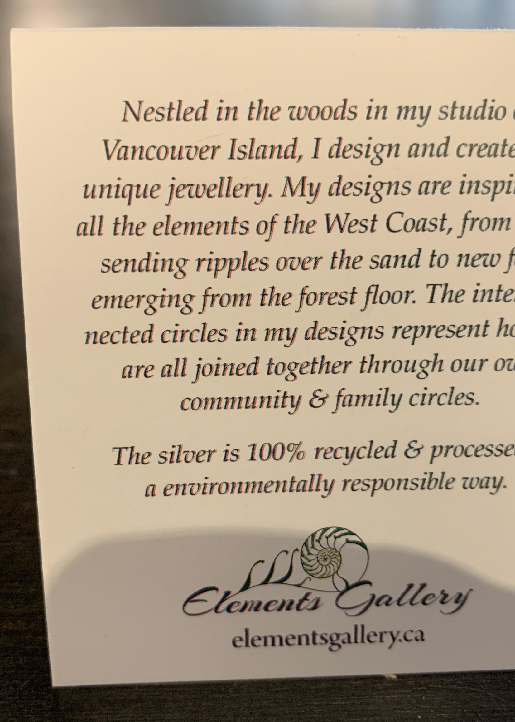 Elements Gallery Family & Friendship Silver Ring Necklace  *  3 Rings