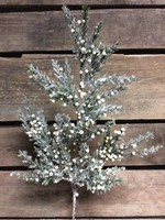 Tri W Imports 19.5" Frosted Cedar & Cream Spray