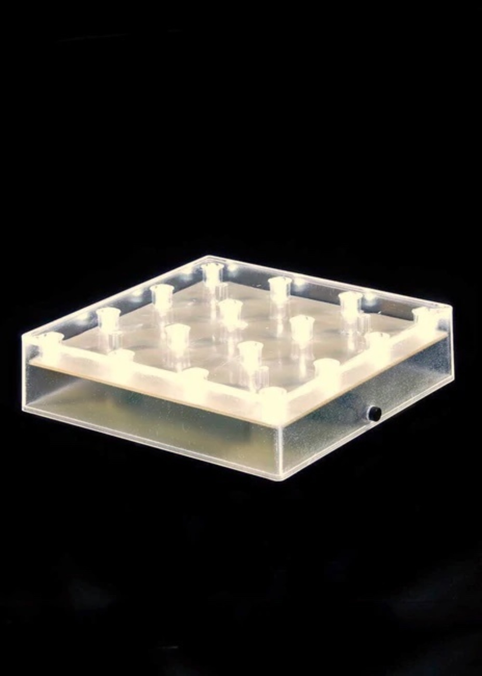 Warm 5" Square Base with Lights