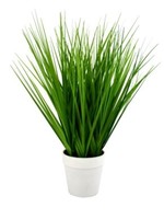 Nostalgia Green Grass w/White Planter