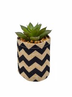 Nostalgia Succulent in Fabric Pot