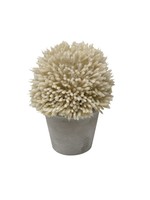 Nostalgia green onion