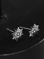 Hackney Nine/Dye Cast Amnisty Stud Earrings * Silver